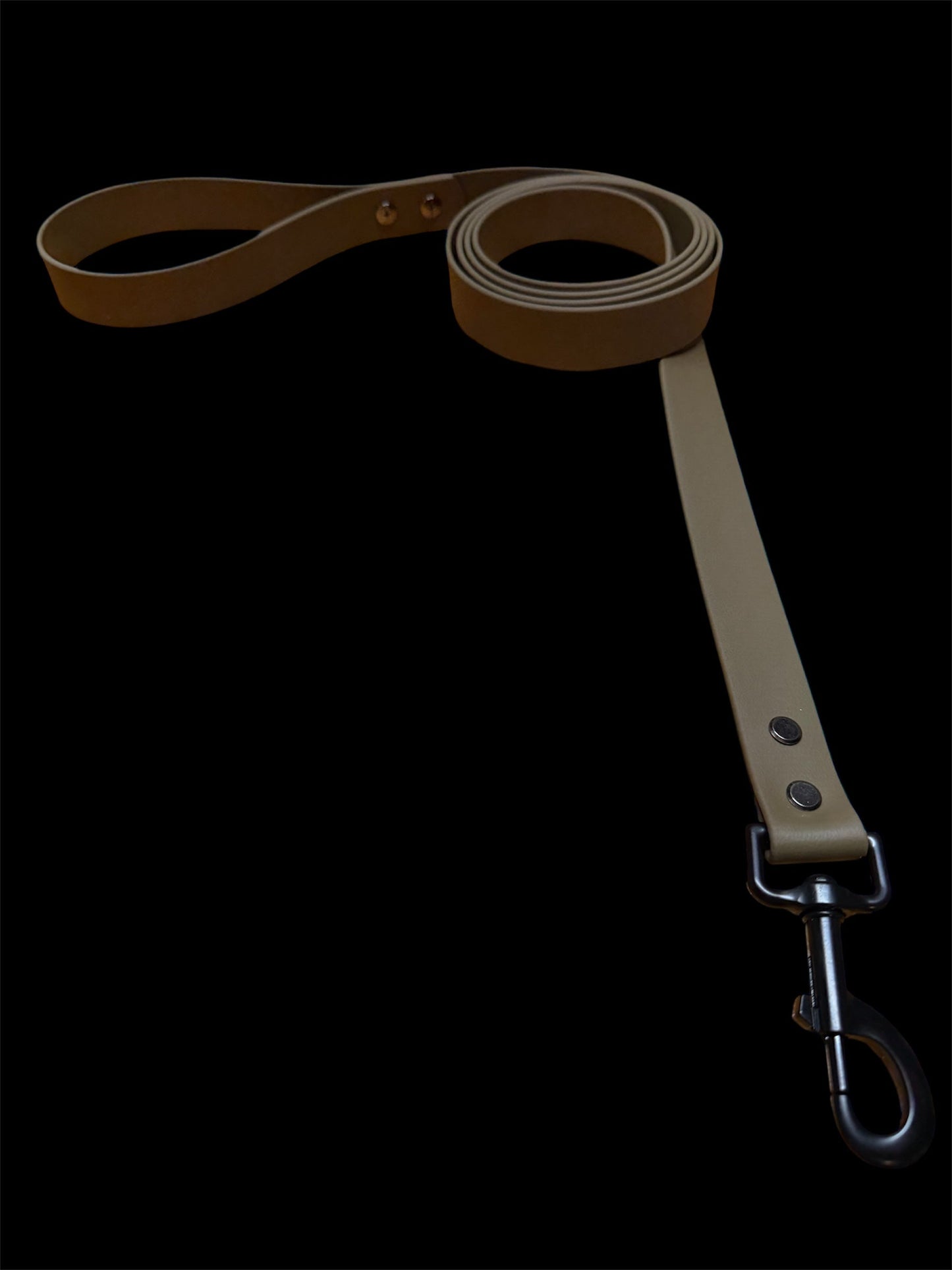 Pup leash